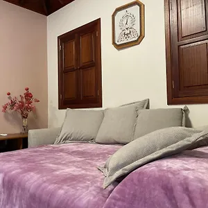 https://villa-rustic-house-la-montana.in-canary-islands.com